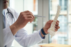 What is the Structure of Your Cervical Spine?