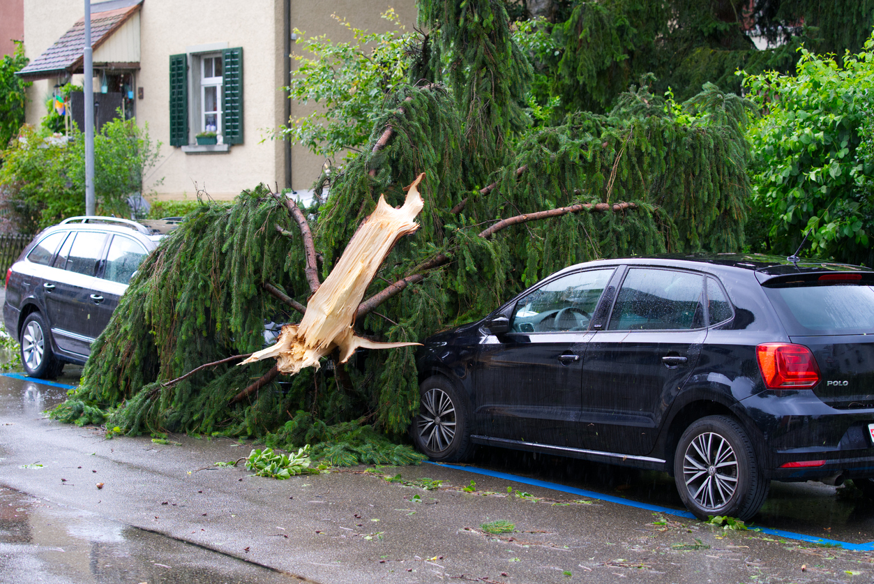 What Are the 5 Categories of Hurricanes?