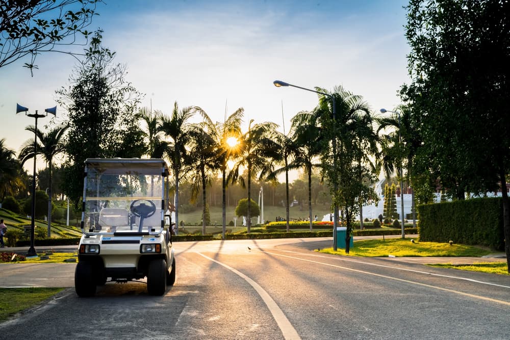 Golf Cart is standing on a public road