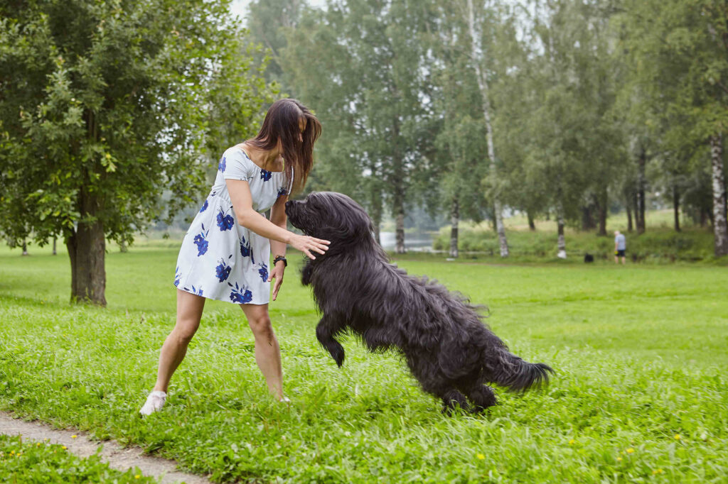Dog attack risk scenario in Florida highlighting potential injuries and claims for scarring infection and PTSD compensation
