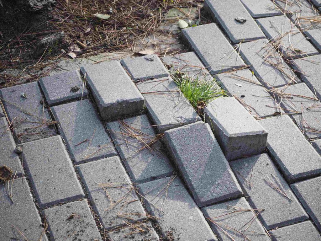 Uneven brick pavers creating a trip hazard linked to Safety Harbor pedestrian accidents and government liability.