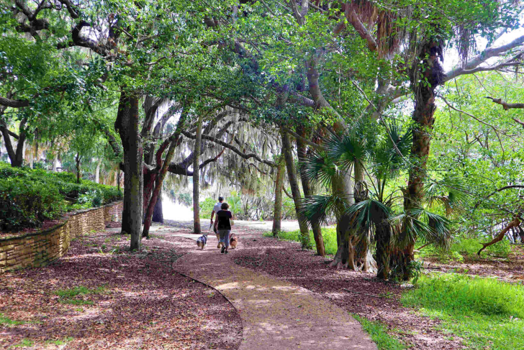 People walking along a wooded Safety Harbor trail where local personal injury lawyers assist accident victims.