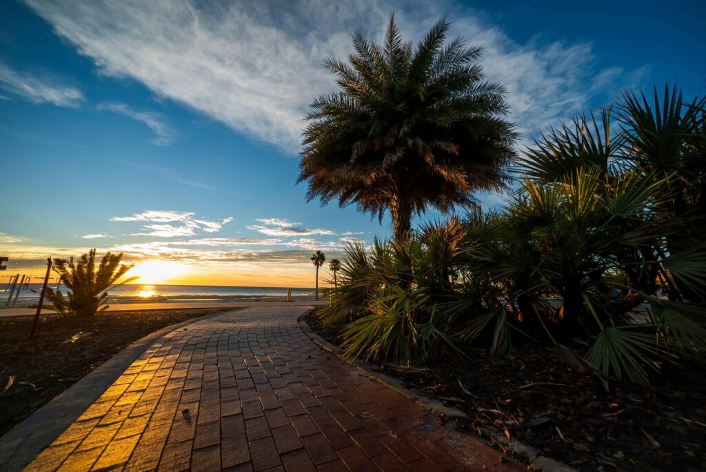 If your accident occurred in other regions of Florida like Clearwater, find out what texting and driving records can expose modern distracted drivers and protect your legal rights.