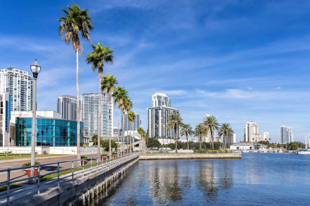 A sunny waterfront walkway lined with palm trees showcases the city served by St Petersburg Pedestrian Accident Lawyers.